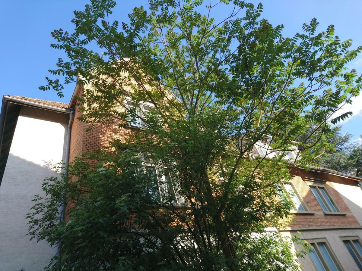 Nest City - Not A Hotel, Private Room With Shared Showers, No Parking, Breakfast, Or Kitchen, Towels Available For A Fee, Check-In 4 Pm To 11 Pm Konstanz Eksteriør bilde